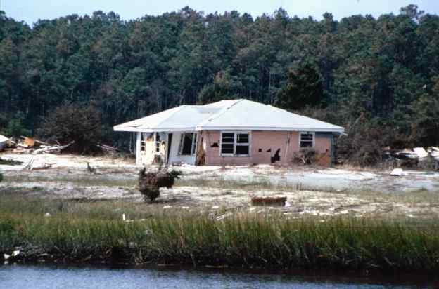 Pawleys Island (Wes Tyler)